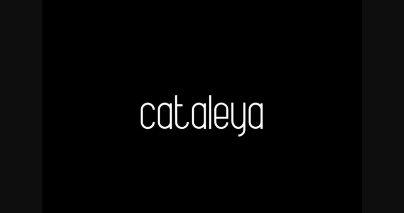 Cataleya Font Poster 3