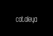 Cataleya Font Poster 1