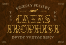 Catastrophist Font Poster 1