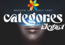 Categories Elegant Font Poster 1