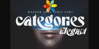 Categories Elegant Font Poster 1