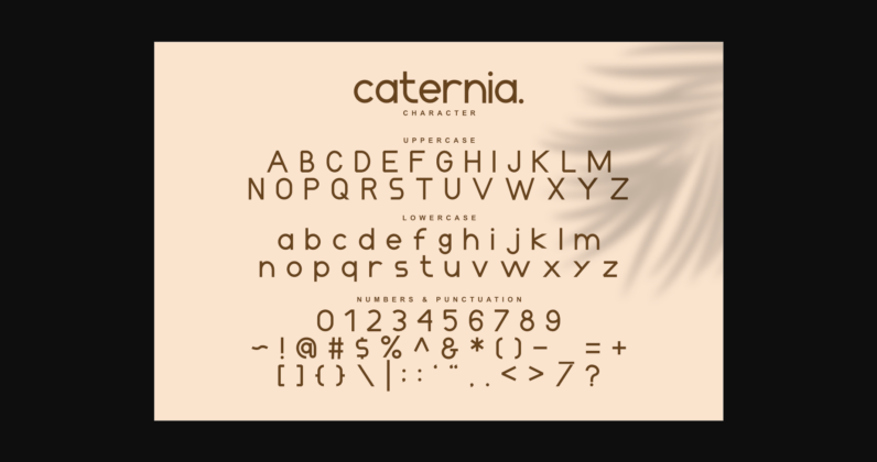 Caternia Font Poster 9