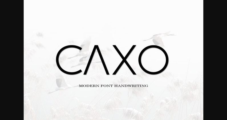 Caxo Font Poster 3