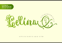 Celina Duo Font Poster 1