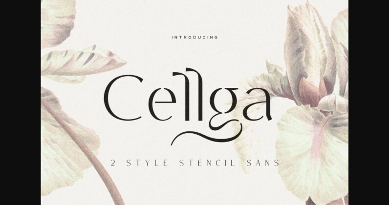 Cellga Font Poster 3