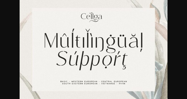 Cellga Font Poster 11