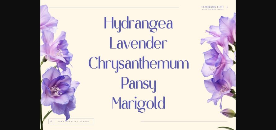 Cendranis Font Poster 5