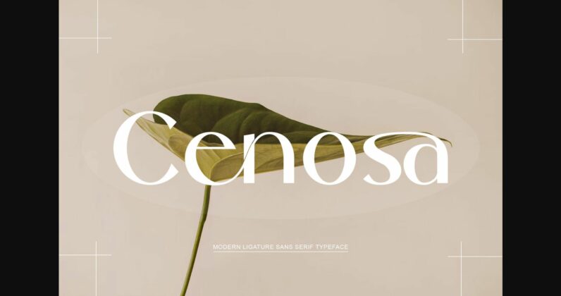 Cenosa Font Poster 3