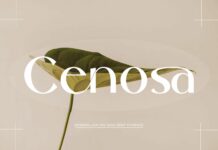 Cenosa Font Poster 1