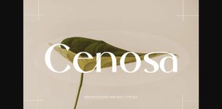 Cenosa Font Poster 1