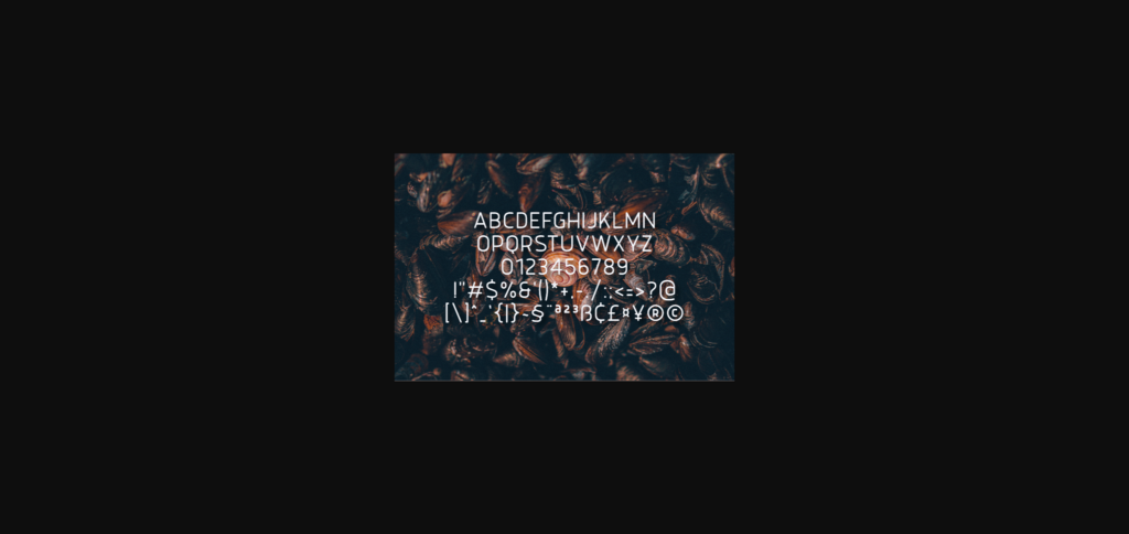 Centabre Font Poster 4