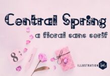 Central Spring Font Poster 1