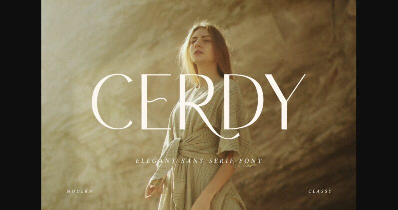 Cerdy Font Poster 3