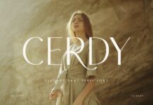 Cerdy Font Poster 1