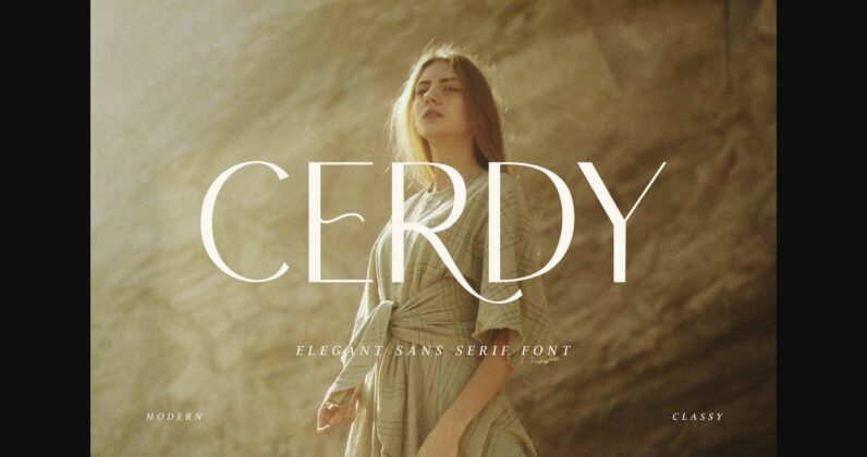 Cerdy Font Poster 1
