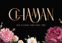 Chaman Font Poster 1