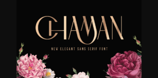 Chaman Font Poster 1