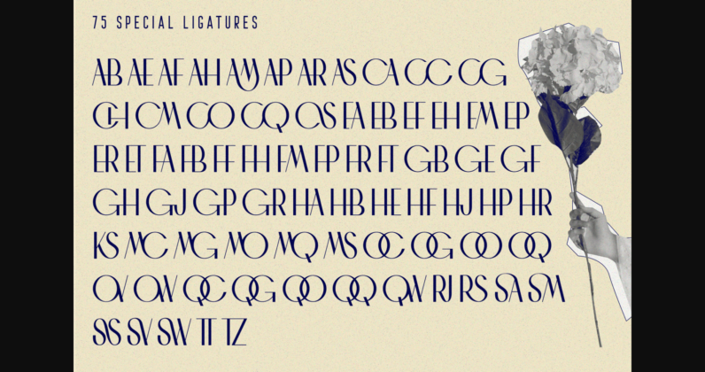 Chaman Font Poster 8