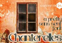 Chanterelles Font Poster 1
