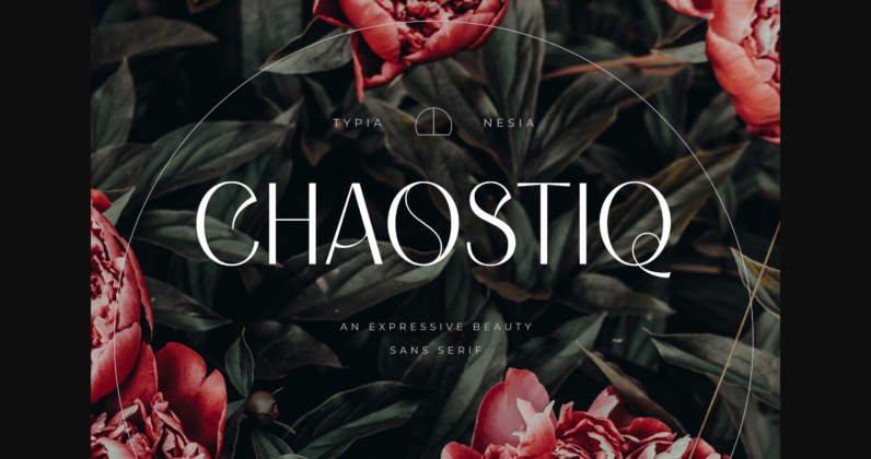 Chaostiq Poster 3