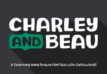 Charley and Beau Font Poster 1