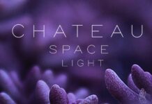 Chateau Space Light Font Poster 1