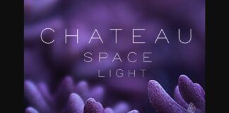 Chateau Space Light Font Poster 1