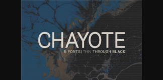 Chayote Font Poster 1
