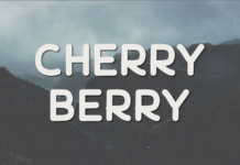 Cherry Berry Font Poster 1