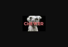 Chewer Font Poster 1
