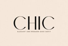 Chic Font Poster 1