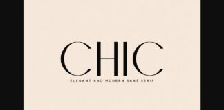 Chic Font Poster 1