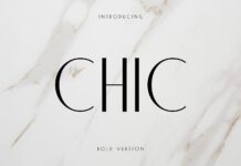 Chic Font Poster 1