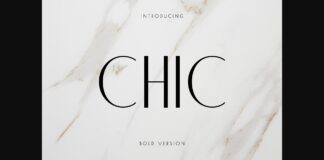 Chic Font Poster 1