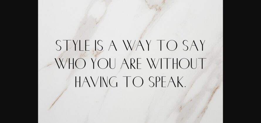 Chic Font Poster 2