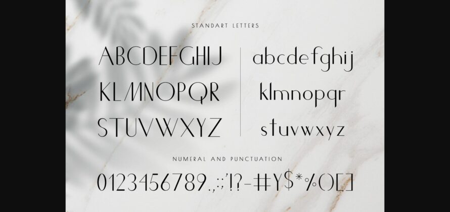 Chic Font Poster 6