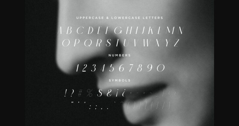 Chic Italic Font Poster 4