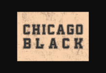 Chicago Black Font Poster 1