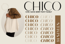 Chico Font Poster 1