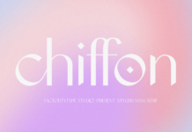 Chiffon Font Poster 1