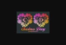 Christmas Daisy Monogram Font Poster 1