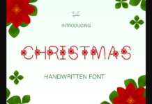 Christmas Flower Font Poster 1