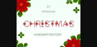 Christmas Flower Font Poster 1