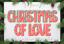 Christmas of Love Font Poster 1