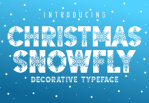 Christmas Snowfly Font Poster 1