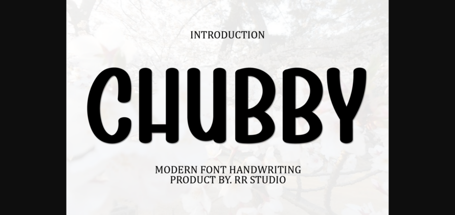 Chubby Font Poster 3