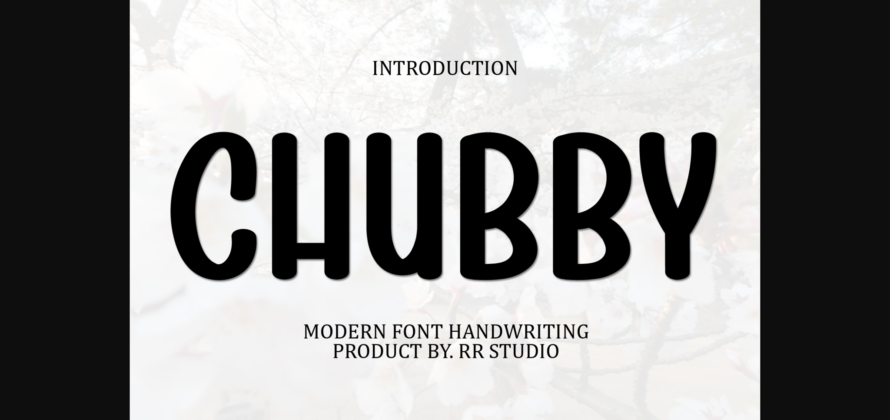 Chubby Font Poster 1