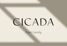 Cicada Font Poster 1
