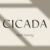 Cicada Font