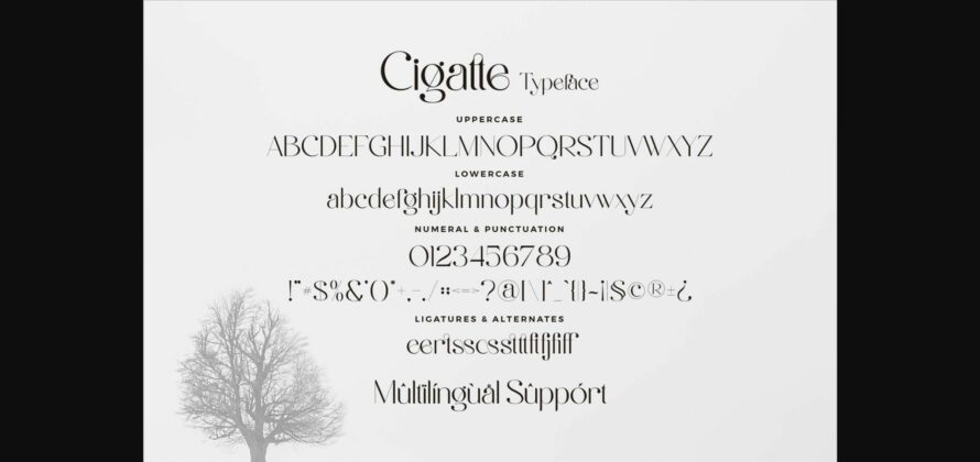 Cigatte Font Poster 8